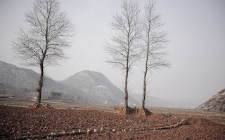 Drought in Fuyuan, China