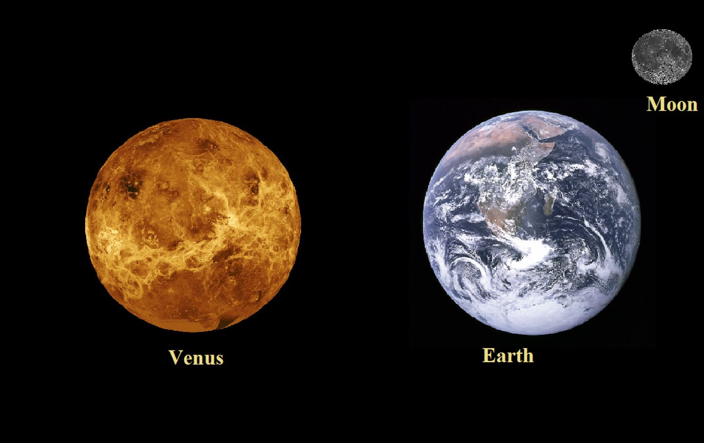 Земные планеты Венера