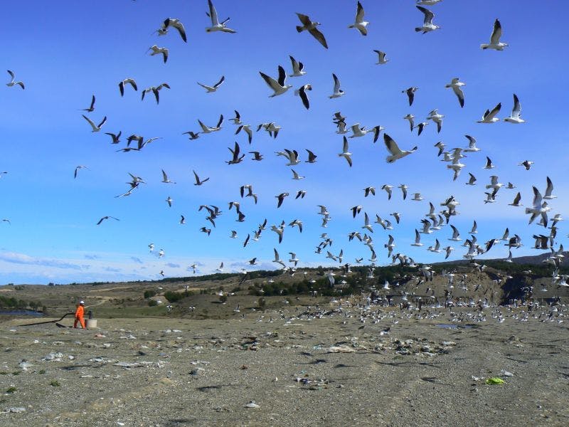 Earth, wind and (methane) fire project