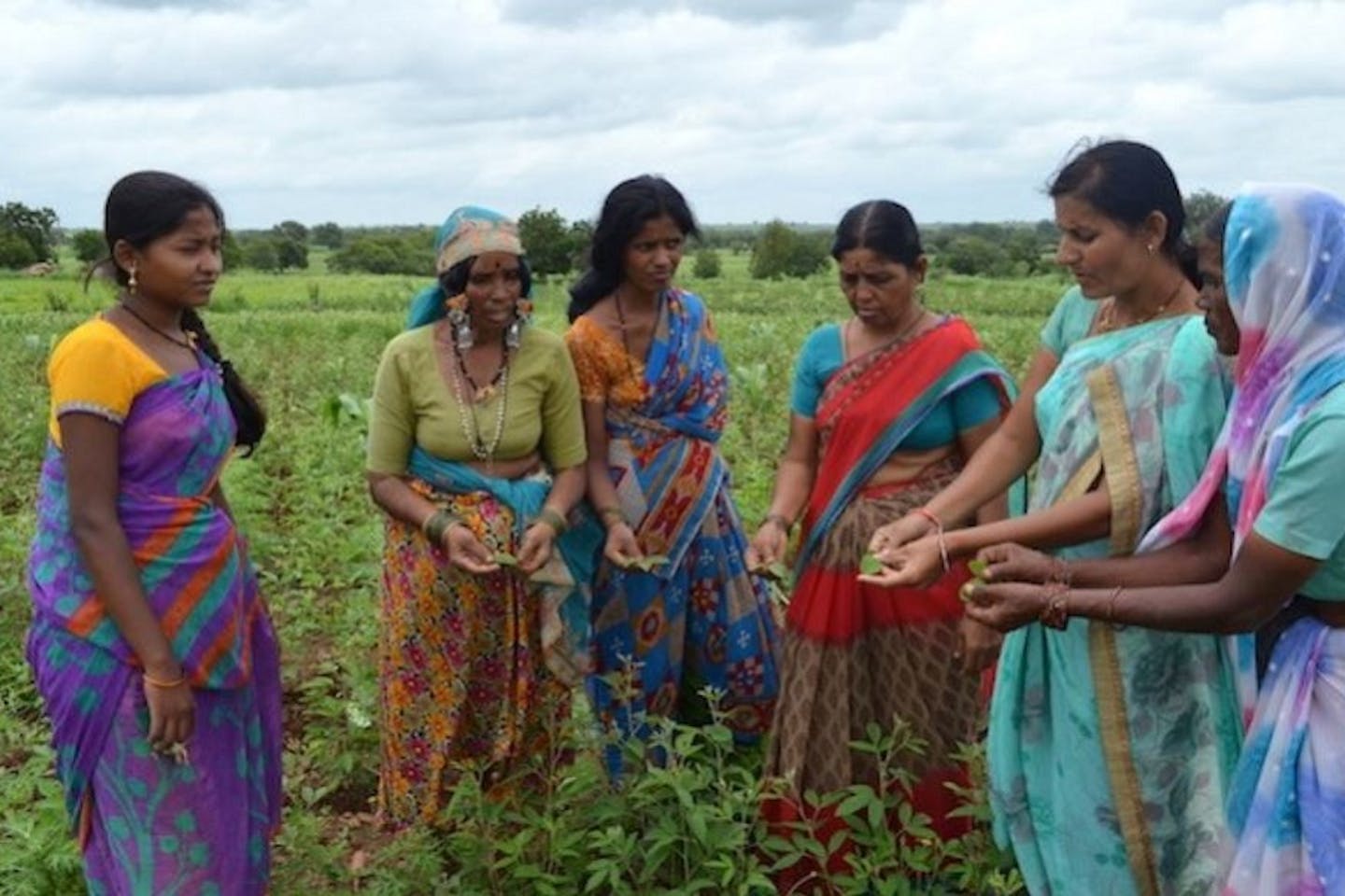 sustainable farming