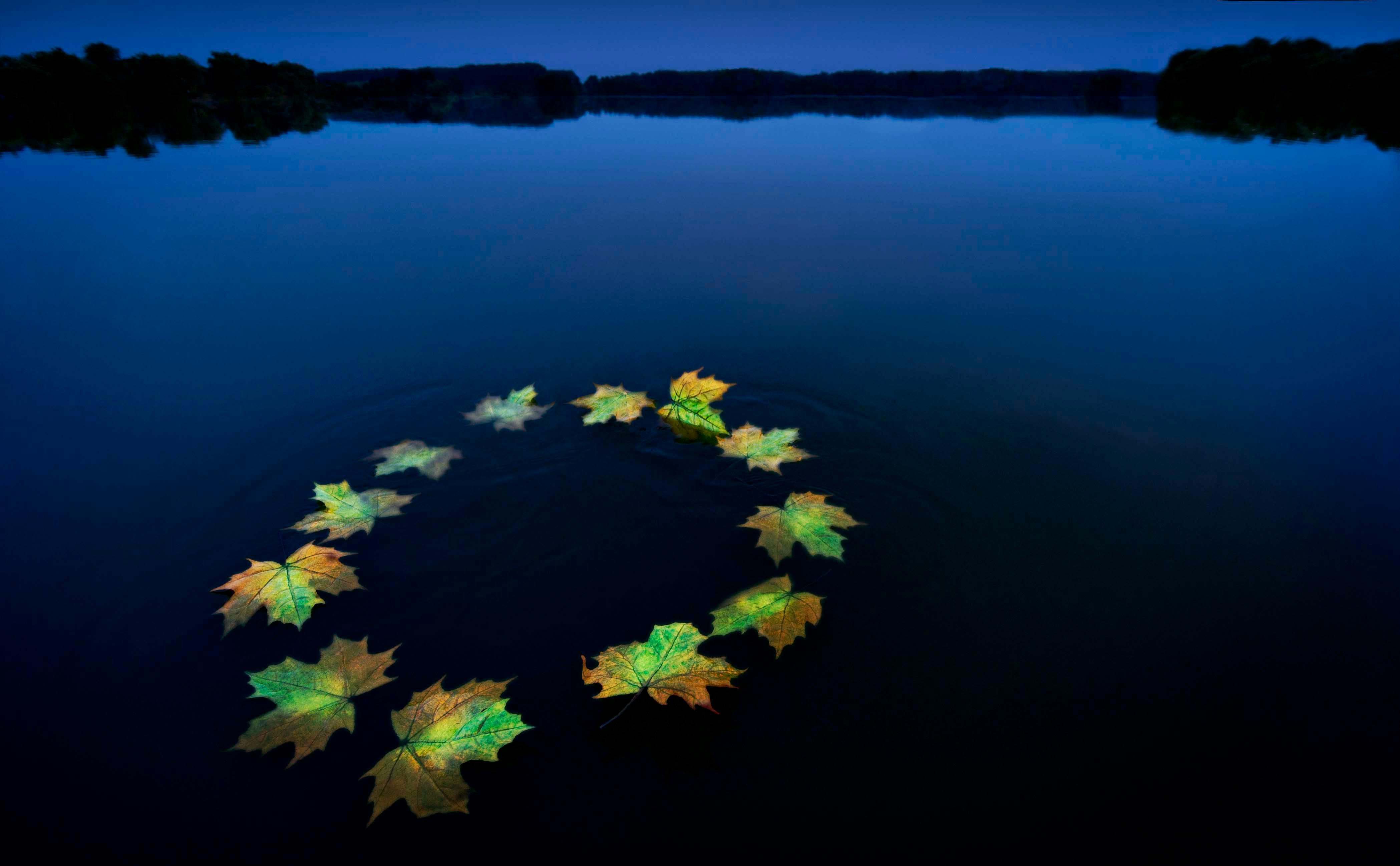 EU and climate talks