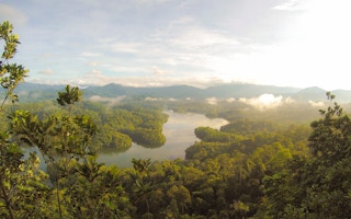 Rainforest, Balok, Malaysia