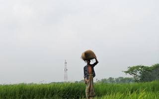 farmer bangladesh nutrition