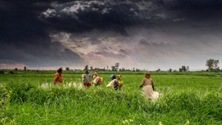 farmers in india rain