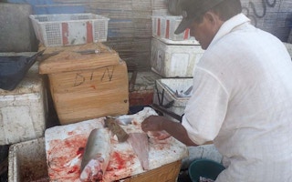 Shark fillets being prepared at a market in Bali, Indonesia