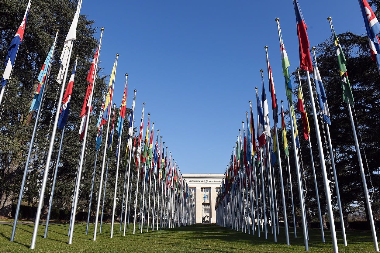 nations flags palais