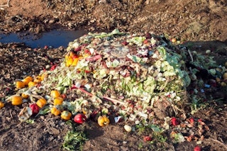 NYC food waste