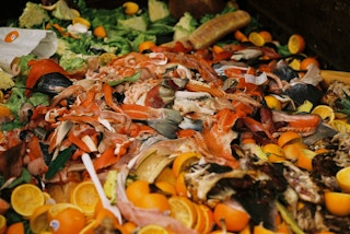 Food waste in a dustbin in Canada