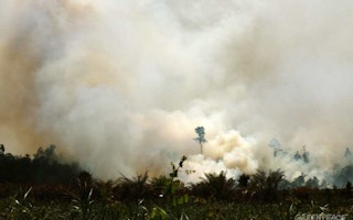 Forest fires in Riau