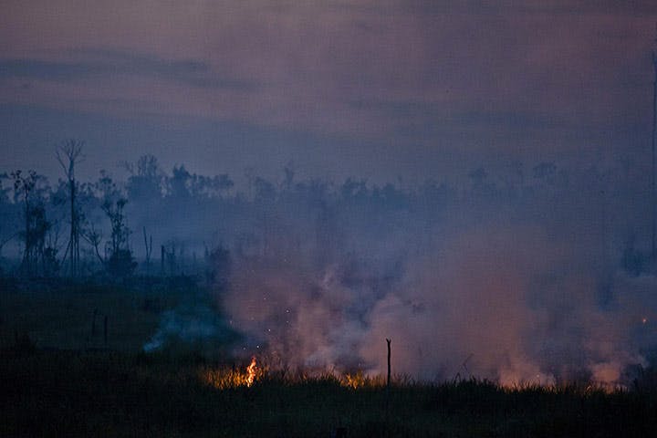 Forest fires in Sumatra