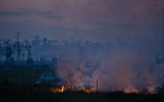 Forest fires in Sumatra