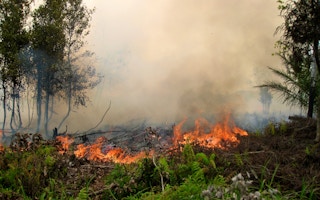 Forest Fire Indonesia