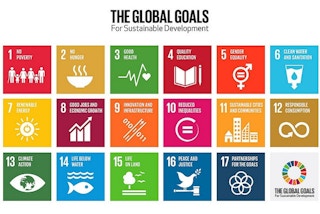 The UN SDGs, also known as Global Goals