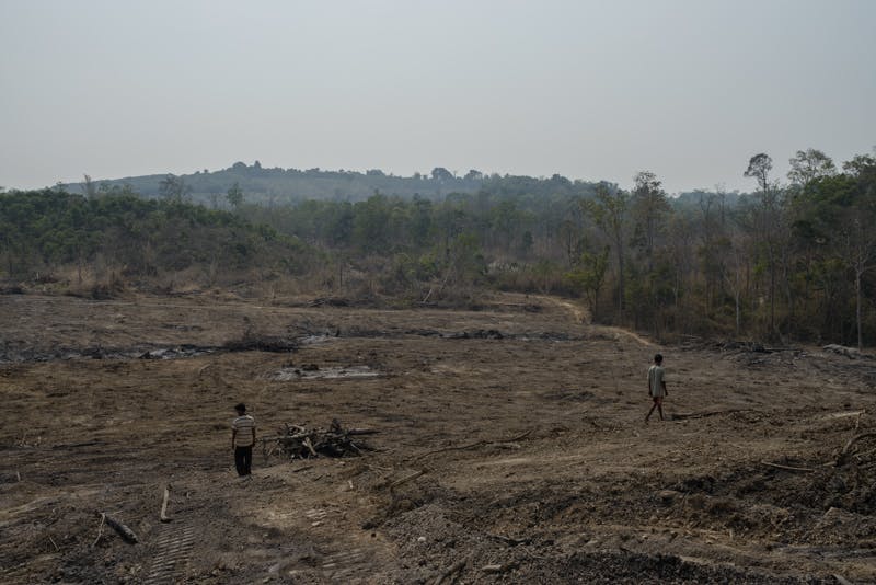 Global Witness' Rubber Barons