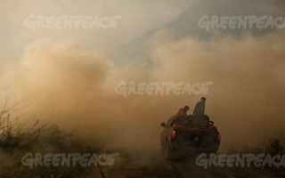 Greenpeace Indonesia forest fire