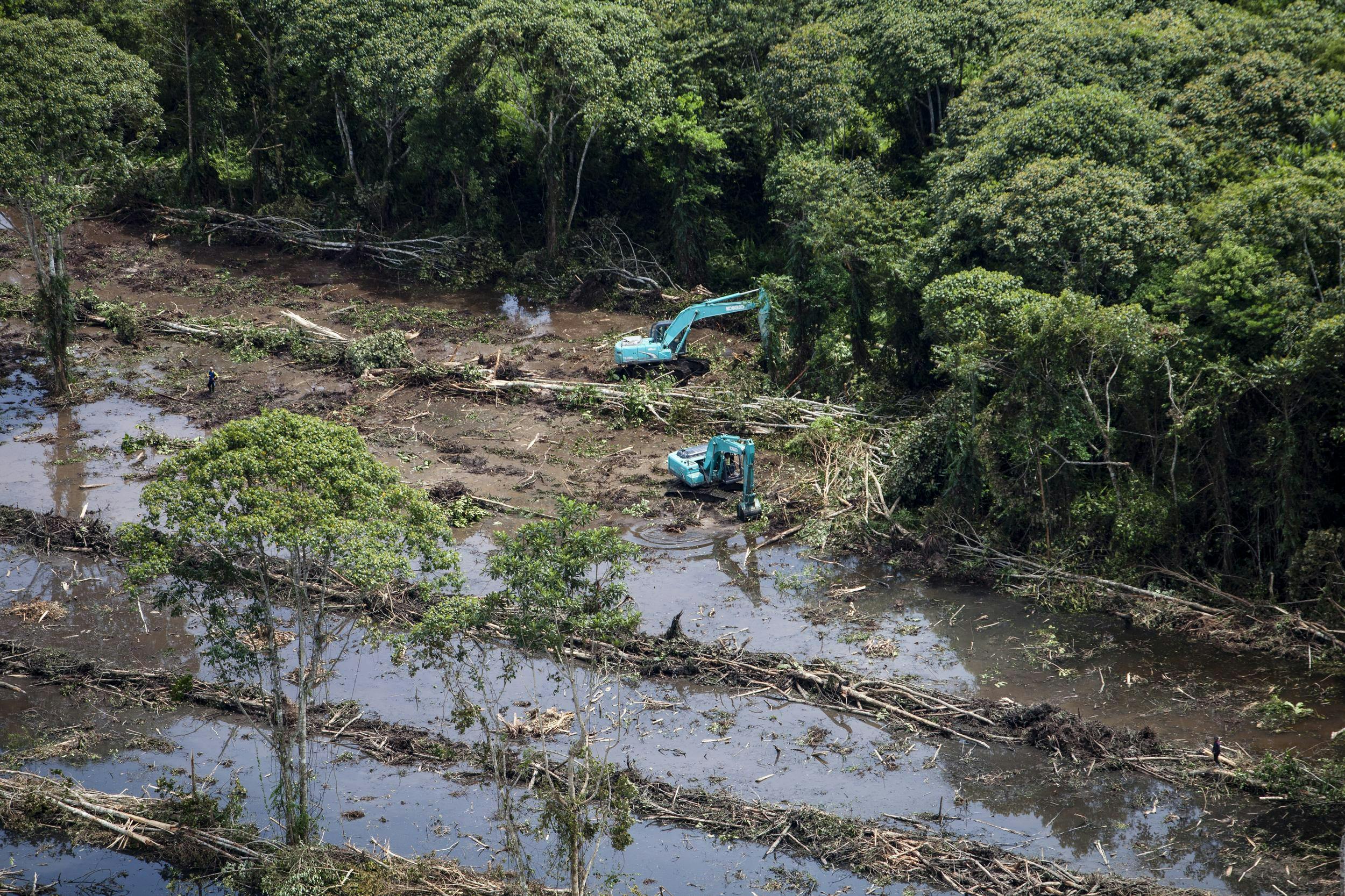 To Save Indonesia's Carbon-rich Peatlands, Start By Mapping Them ...