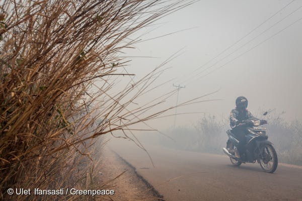 haze kalimantan