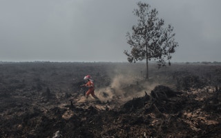 A burning peatland inside the area palm oil concession of PT Sumatera Unggul Makmur in West Kalimantan on 22 August 2018. Image: Greenpeace