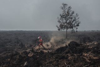 A burning peatland inside the area palm oil concession of PT Sumatera Unggul Makmur in West Kalimantan on 22 August 2018. Image: Greenpeace