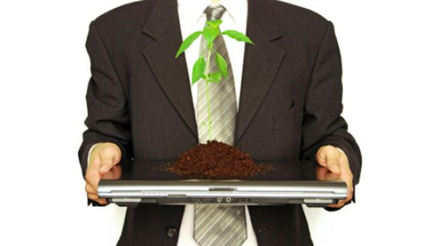 15 tips for clean/green tech accelerator success Opinion Eco