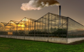 A greenhouse