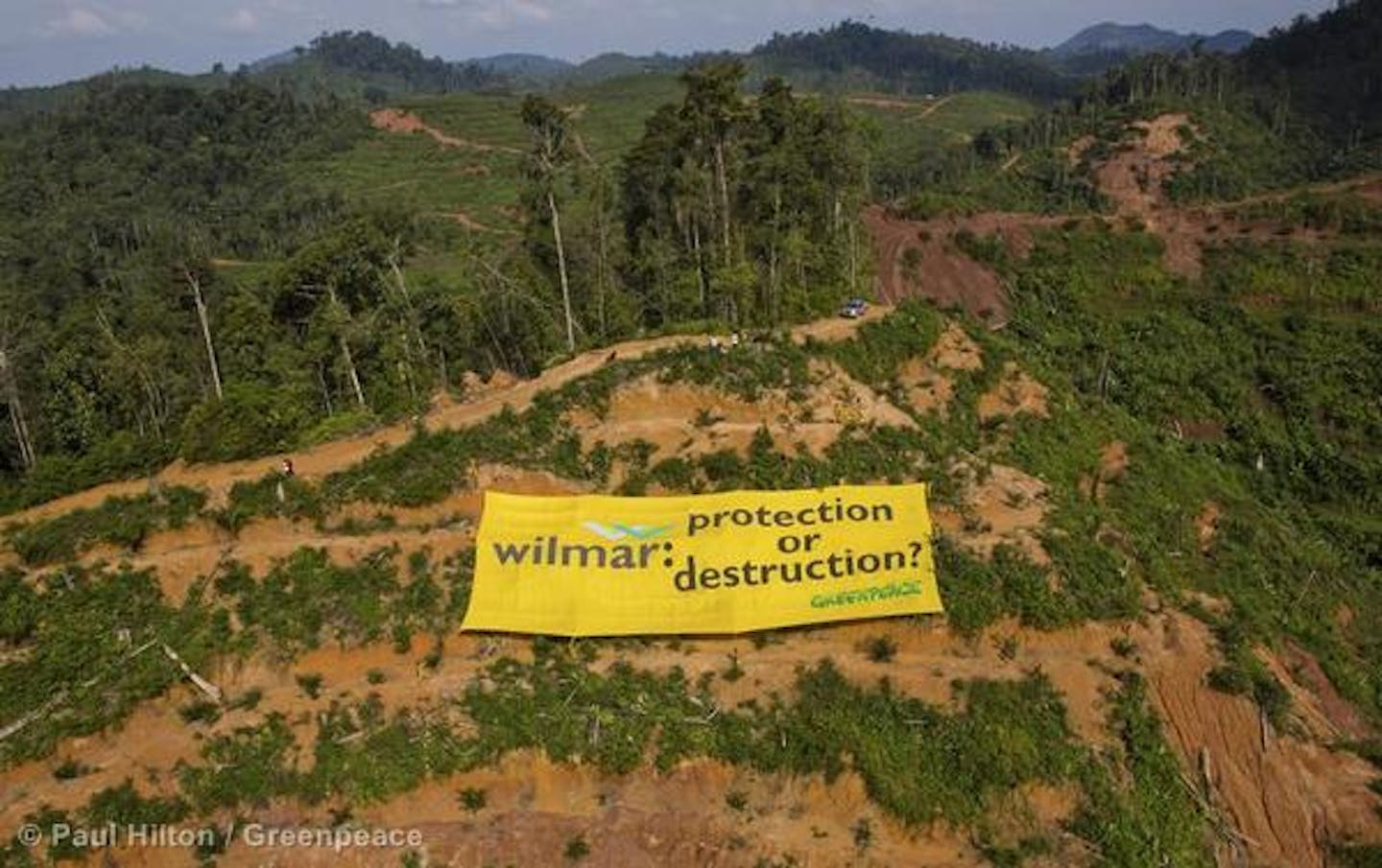 Wilmar, Greenpeace in war of words over tiger extinction report | News