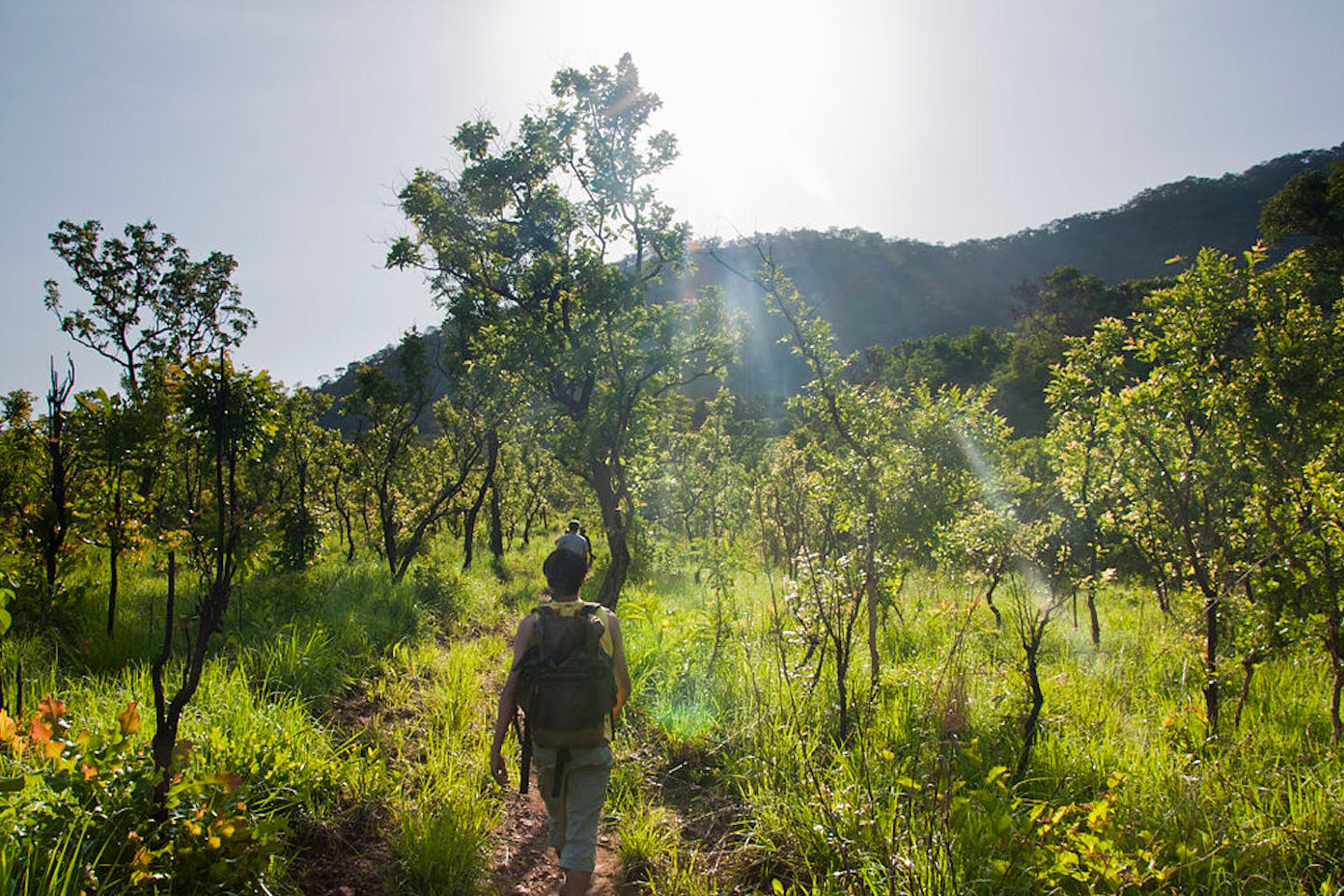nature hiking