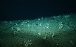 deep ocean floor