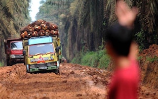 Man assists trucks carrying palm oil fruit
