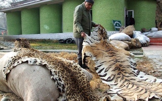 Illegal wildlife products, Kashmir, India
