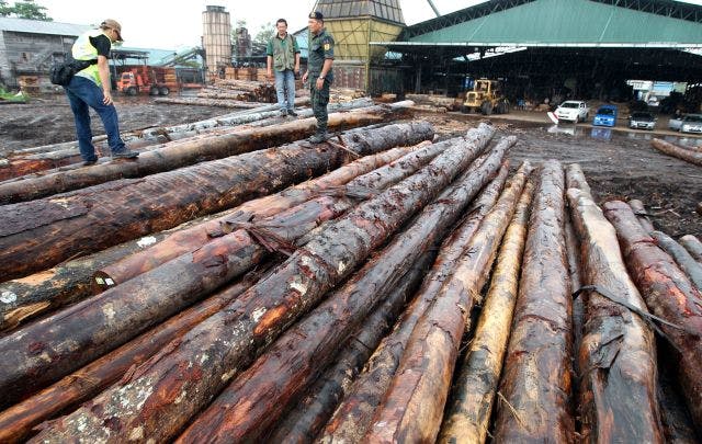 illegal looging malaysia