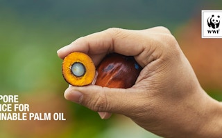 WWF Singapore Alliance on sustainable palm oil