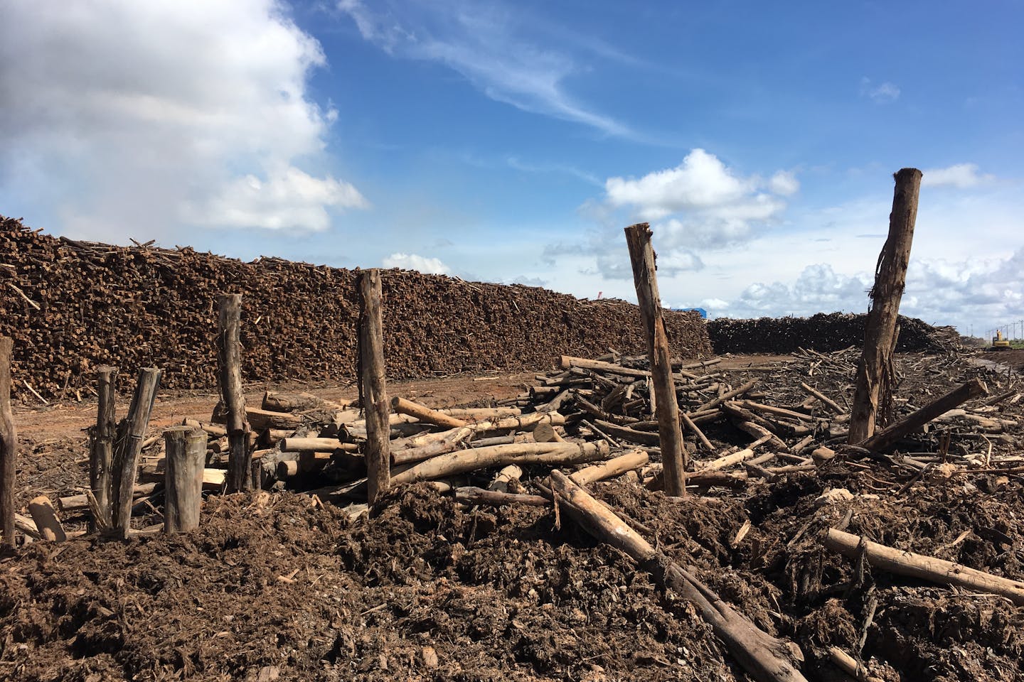 Log yard, OKI pulp mill, South Sumatra