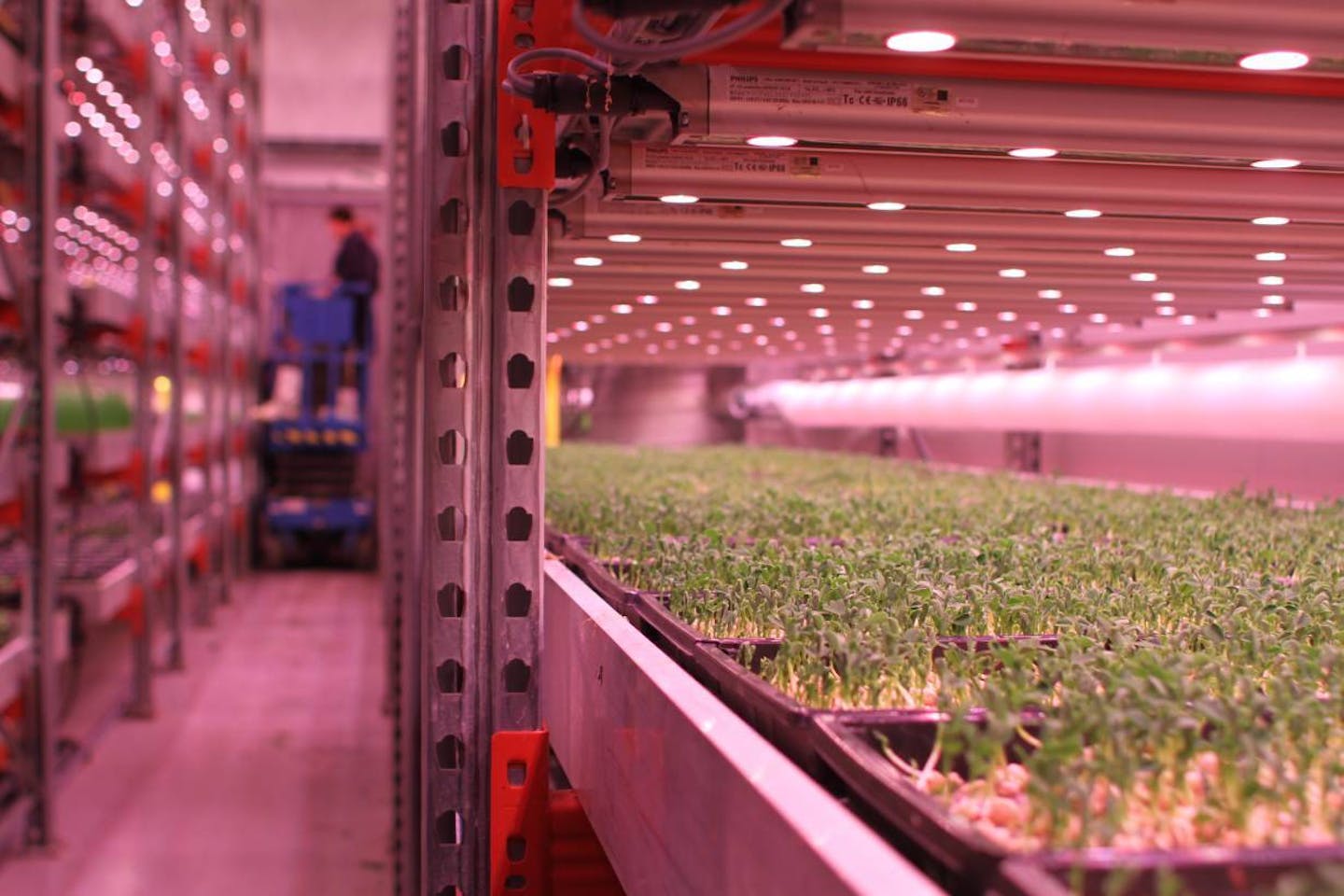 GrowUp Urban Farms