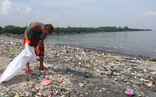 greenpeace coastal clean up sept 2017