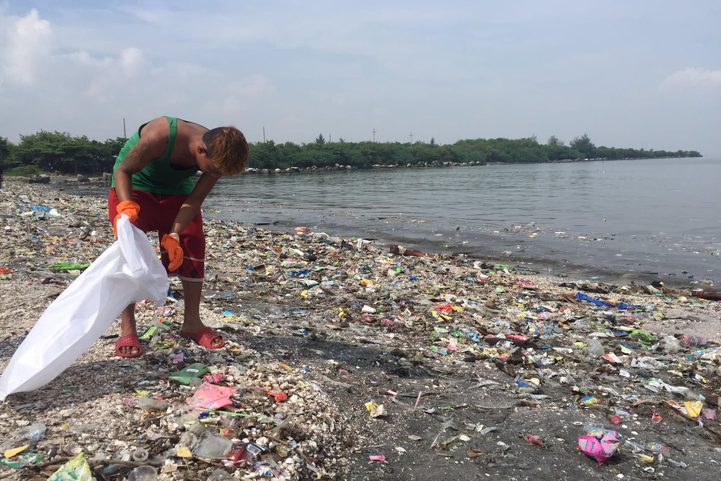 greenpeace coastal clean up sept 2017