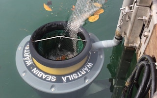 The Seabin collecting trash at Republic of Singapore Yacht Club. Image: Eco-Business