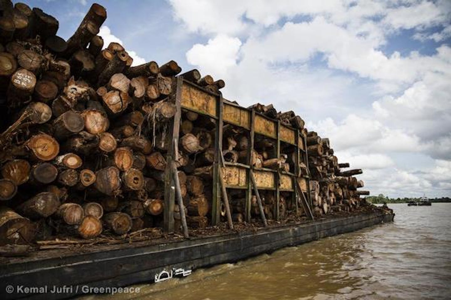 Deforestation in Indonesia