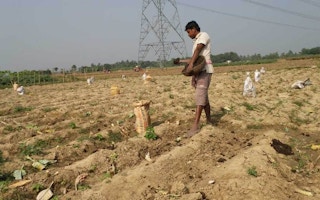 Bengal, India farmer Deepankar Mandal