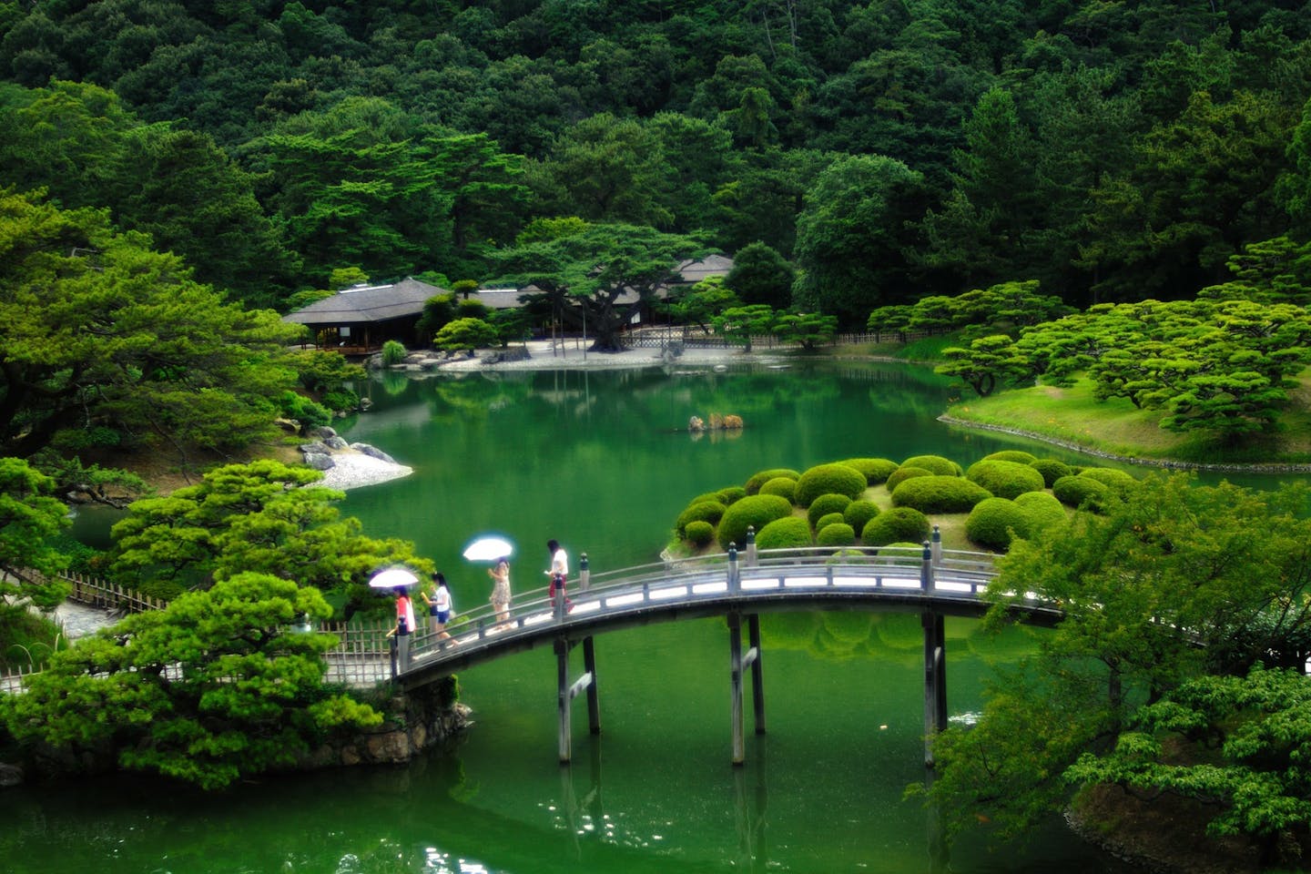 Summer in Japan