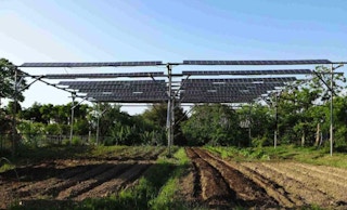 solar sharing farmers