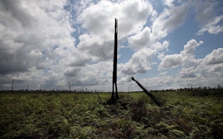 Kalimantan deforestation