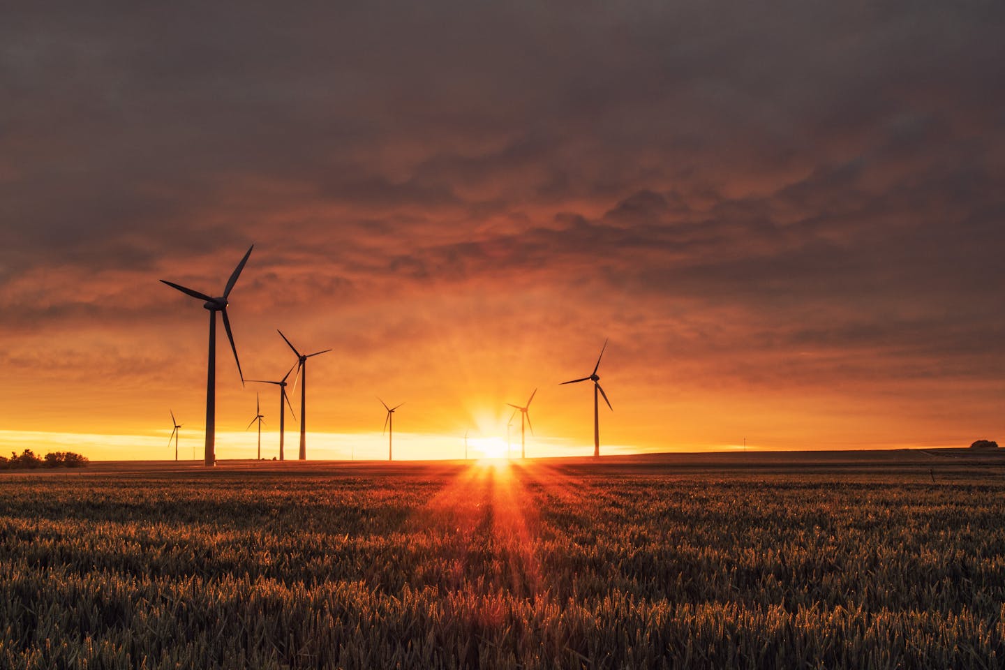 wind turbines at sunrise