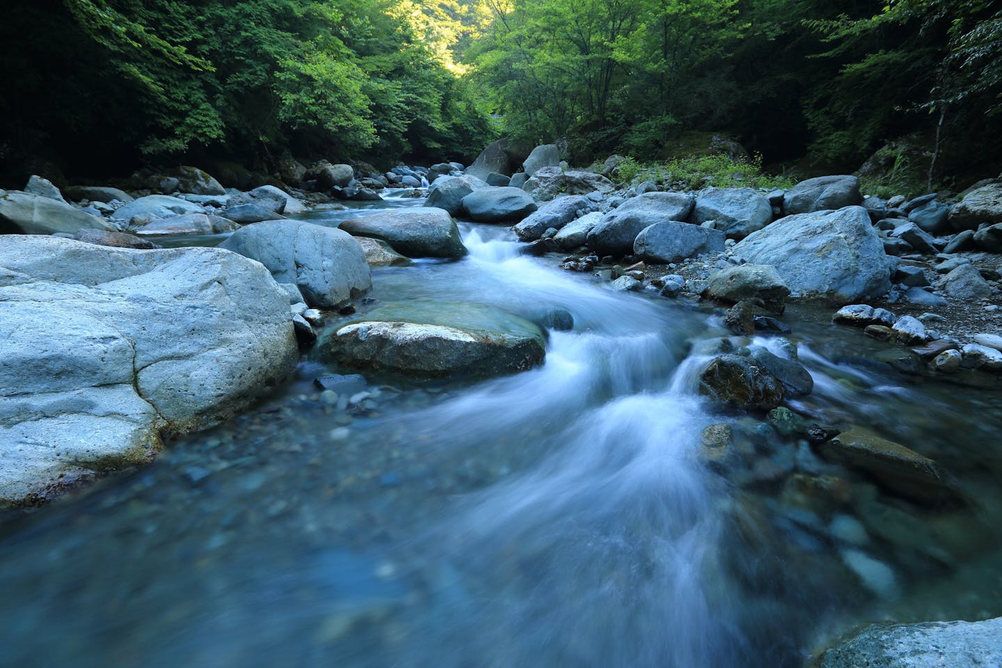 Malaysia rivers SPARK1
