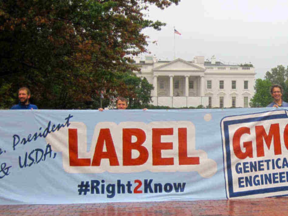 label gmo banner