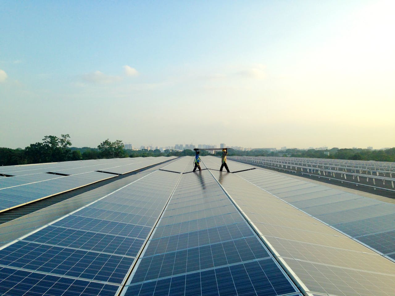 Powering The Solar Revolution News Eco Business Asia Pacific