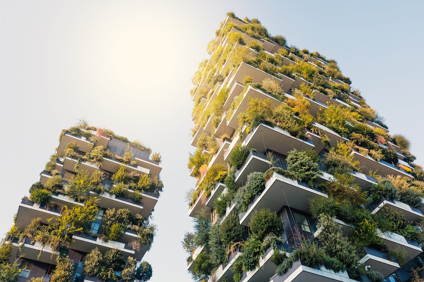 Re-imagining a brighter future: green buildings with urban farming. Image: Olam International