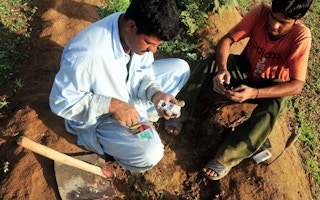 Farmers in Pakistan use sms to warn of water