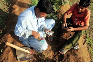 Farmers in Pakistan use sms to warn of water