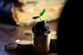 Little sprout growing on top of a pile of coins